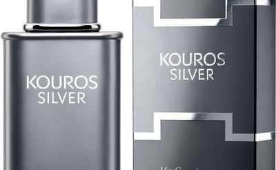 Yves Saint Laurent Kouros Silver similar scents